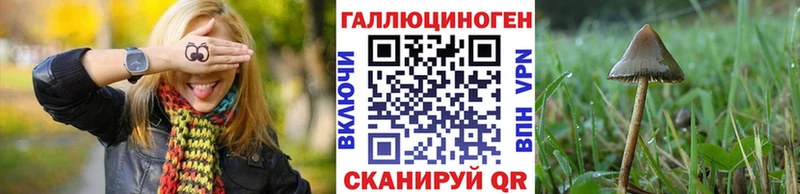 Псилоцибиновые грибы Cubensis  Змеиногорск 